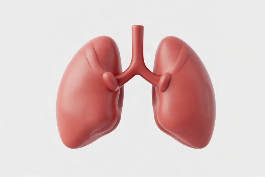 Illustration for the article “A Newborn’s First Breath: How Breathing Begins”